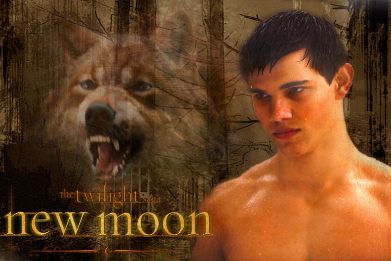 Taylor and the WereWolf