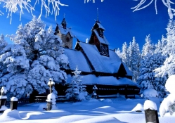 winter wonderland