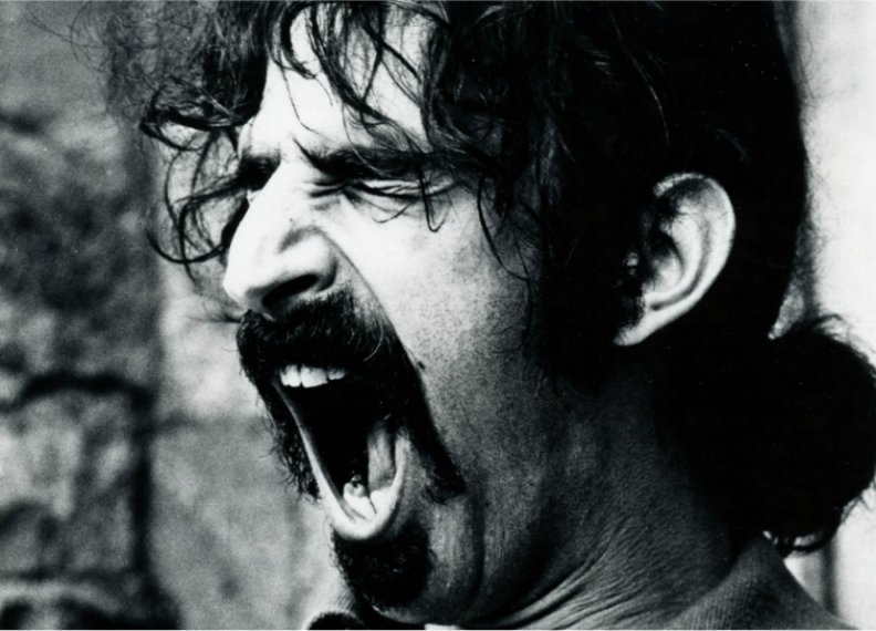 Frank Zappa 4