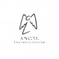 angel_investigations.jpg