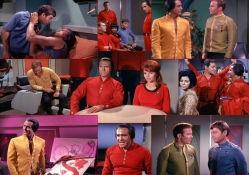 Space Seed Collage
