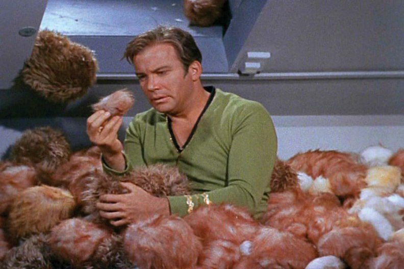kirk_and_his_tribbles.jpg
