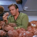 Kirk and his Tribbles