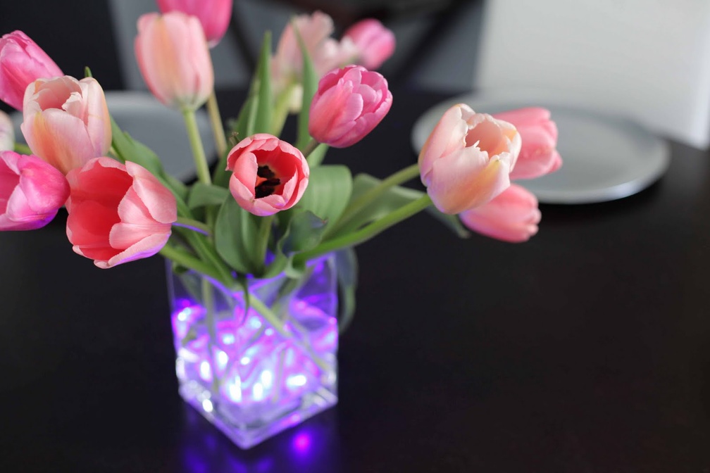 Tulips and pretty lights ~♥~