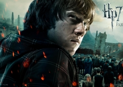 Ron Weasley Deathly Hallows 2