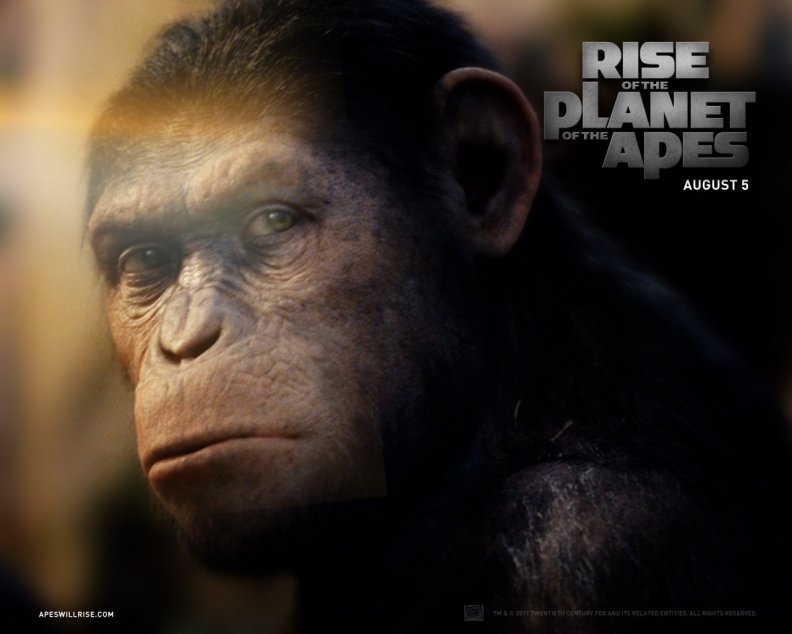 rise_of_the_planet_of_the_apes.jpg