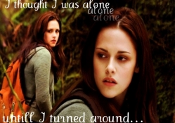 New Moon Bella In The Meadow