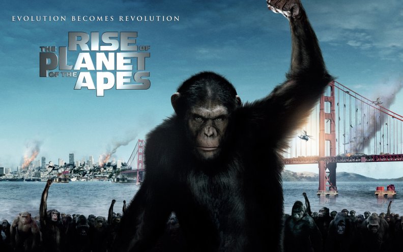 rise_of_the_planet_of_the_apes
