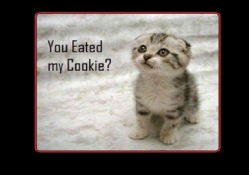 You ate my cookie?