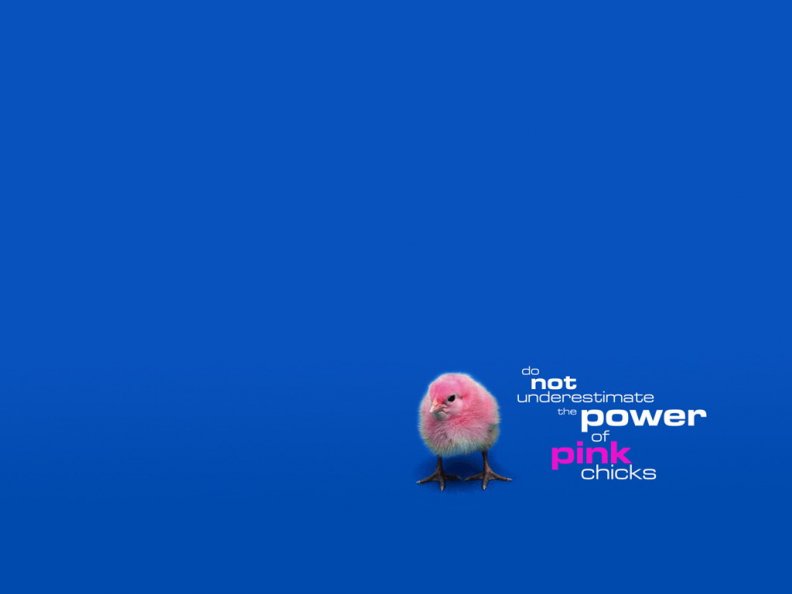 Power of Pink Chicks