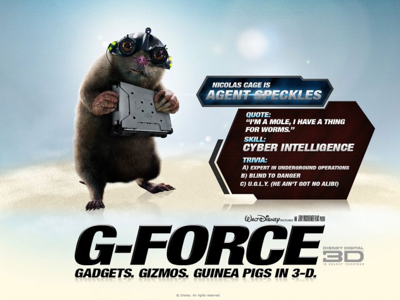 g_force.jpg