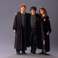 Harry, Rony, Hermione friendship
