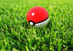 Poke Ball in Grass
