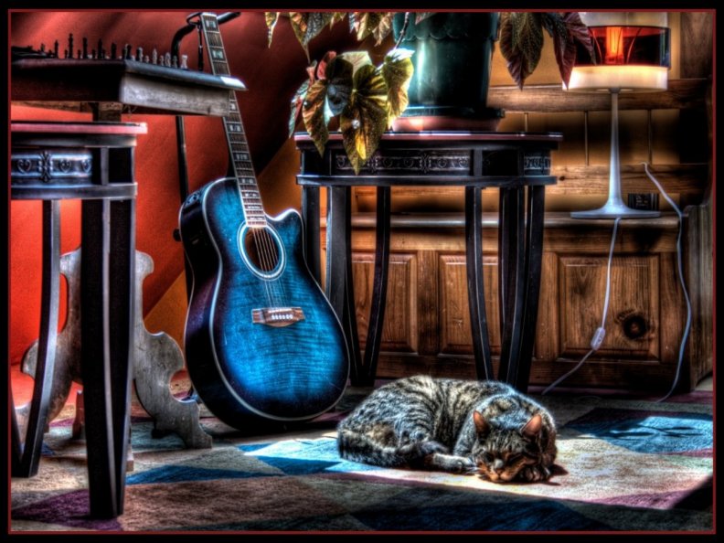 cat_amp_guitar_hdr.jpg