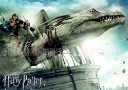 Harry potter 7 Part 2 In Dragon