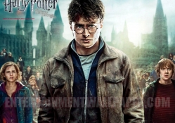Harry Potter 7 Part 2 In Harry Team