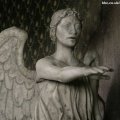 Doctor Who Weeping Angels
