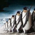 penguin war
