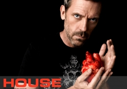 House md