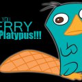 PERRY!!!