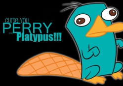 PERRY!!!