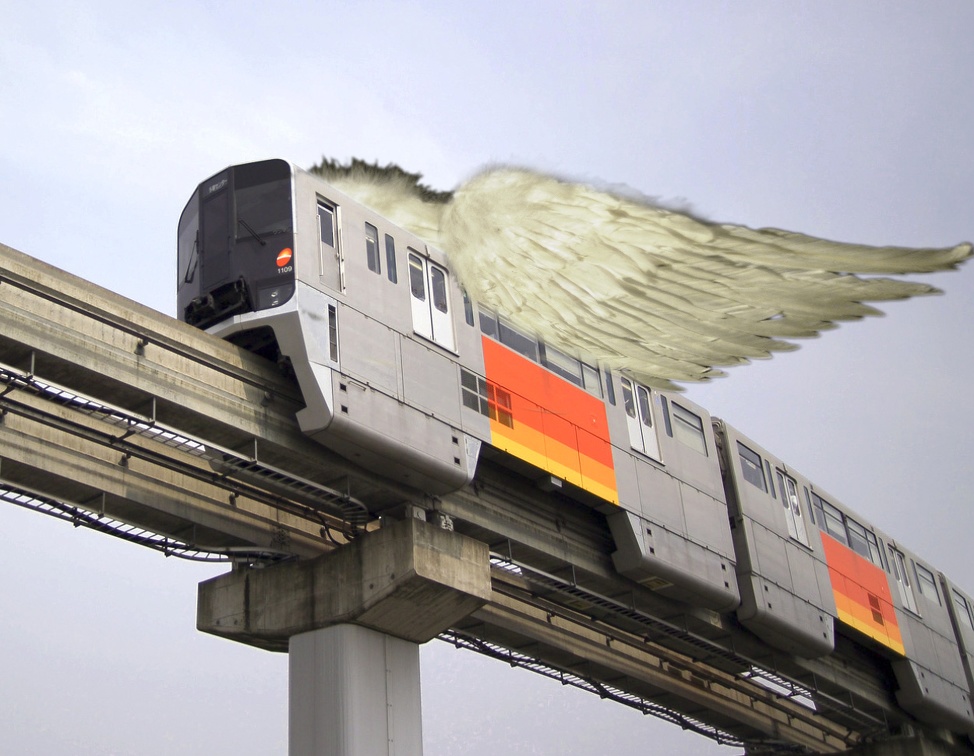 wing train