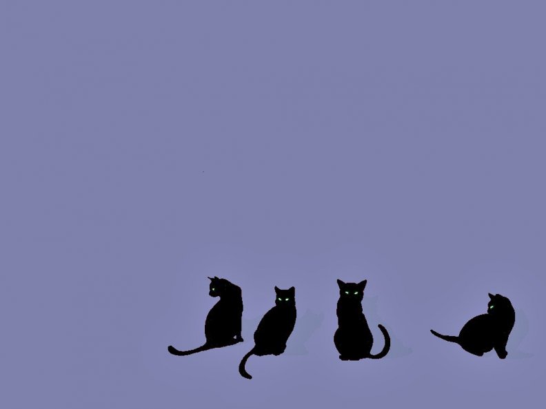 four_black_cats.jpg