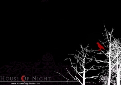 house of night novels