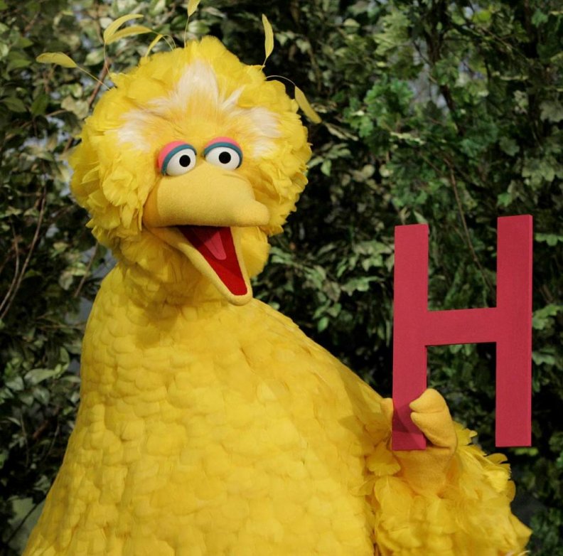 Big Bird Sesame Street Download Hd Wallpapers And Free Images