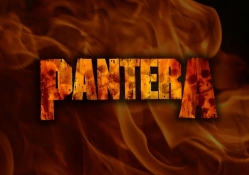 Pantera Fire