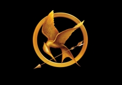 The Hunger Games _ Mockingjay Pin