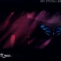 My Dying Bride _ Like Gods of the Sun