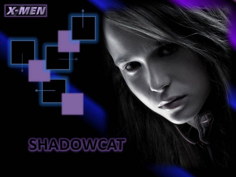 shadowcat.jpg