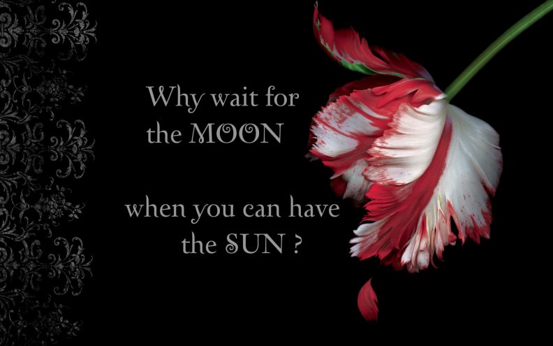 twilight_why_wait_for_the_moon.jpg