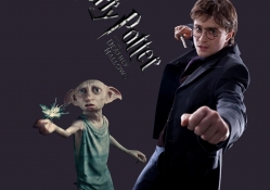 Harry Dobby Deathly Hallows