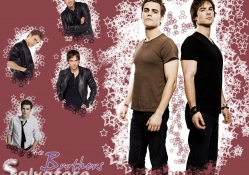 Stefan and Damon