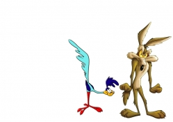 roadrunner and wylie 