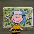 charlie_brown_with_camp_map_in_the_background.jpg