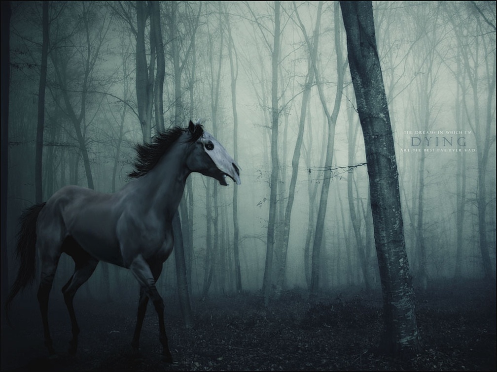 Scary Ghost Horse
