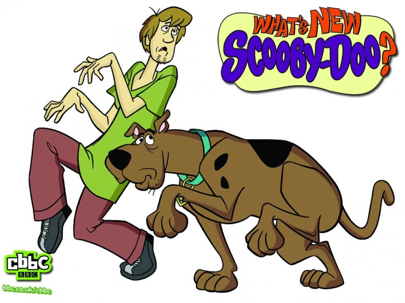 SHAGGY AND SCOOBY DOO  Scooby doo pictures Scooby doo images Shaggy and  scooby