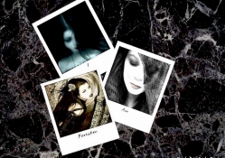 Amy Lee Collage