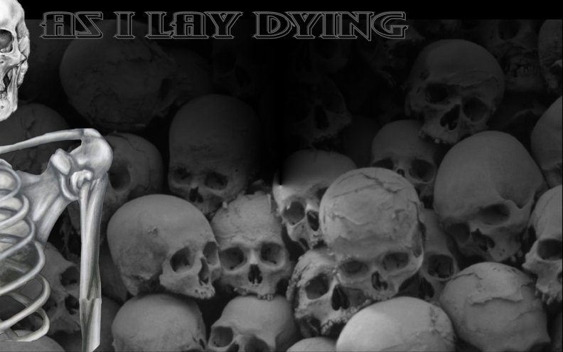 as_i_lay_dying.jpg