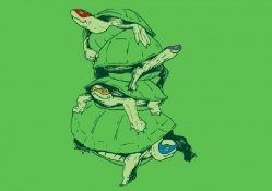 The Real Ninja Turtles