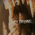 The Feeding