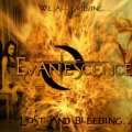 Evanescence Fire