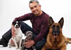Cesar and dogs!