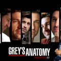 Greys Anatomy Derek