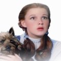 Dorothy and Toto (The Wizard of Oz)