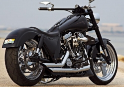 Harley Davidson Evolution
