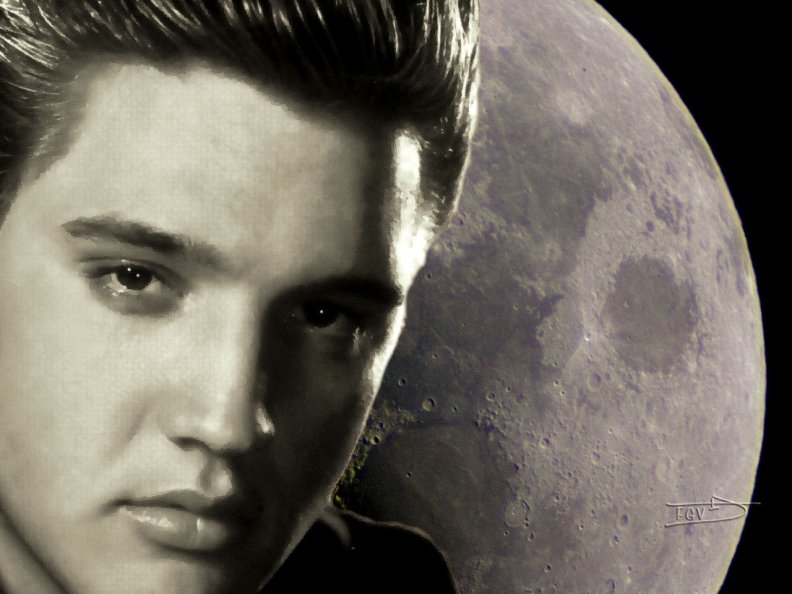 Elvis Moon